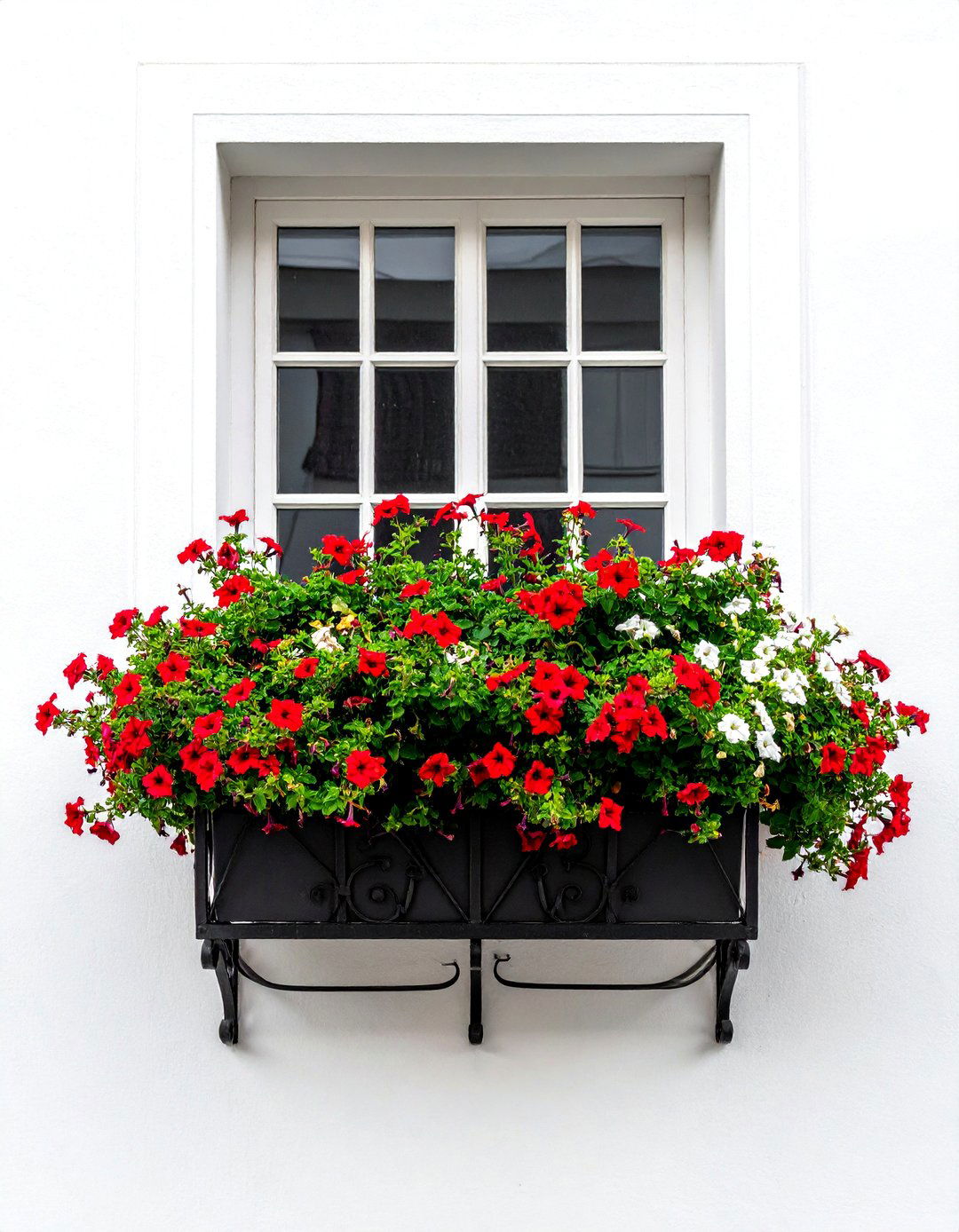 Window Box Planter Box - 30 Planter Box Ideas for Beautiful Gardens