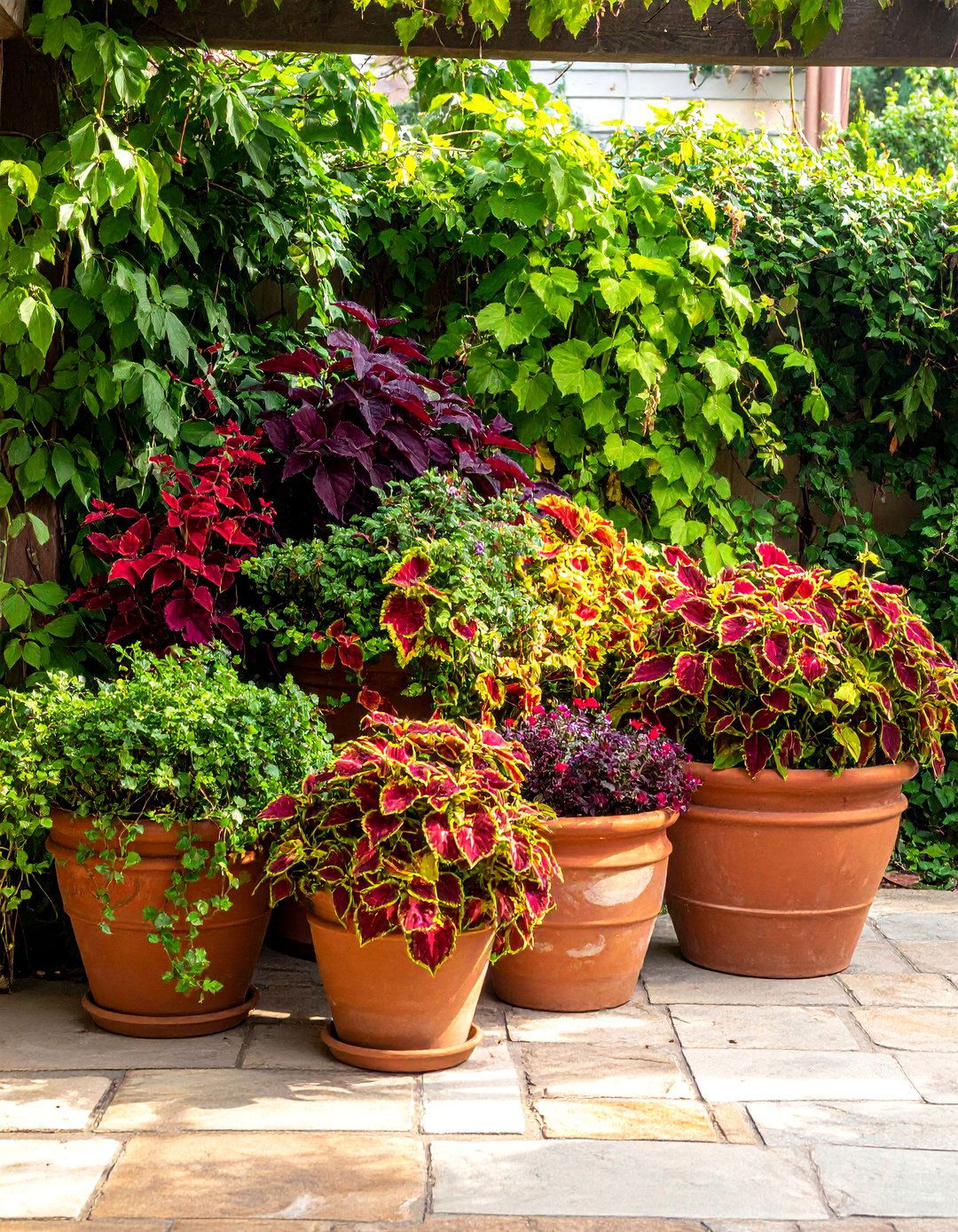 A Container Based Shady Garden - 20 Shady Garden Ideas for Lush, Cool Retreats