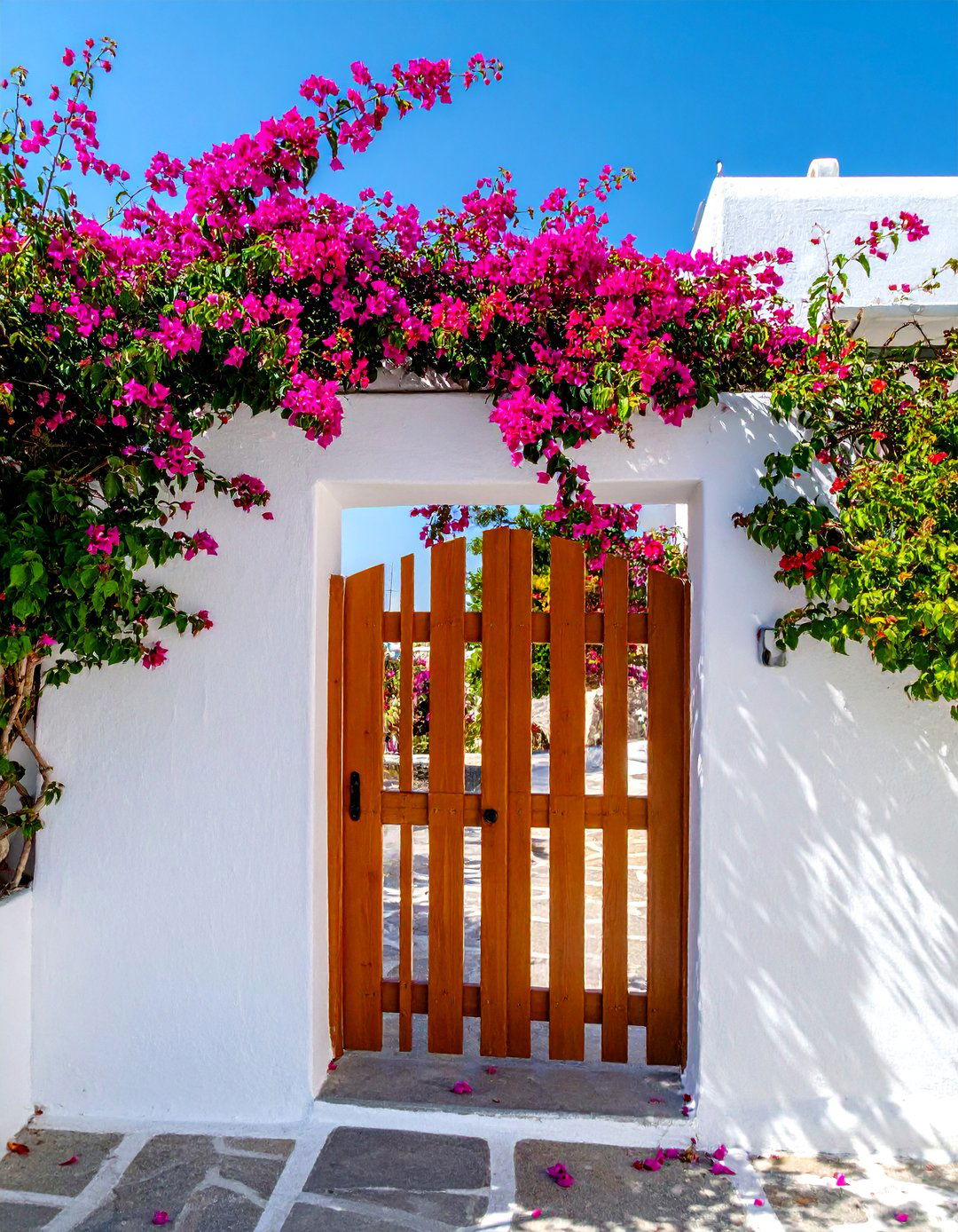 A Greek Garden with Blue Painted Doors and Shutters - 30 Greek Garden Ideas for a Mediterranean Oasis
