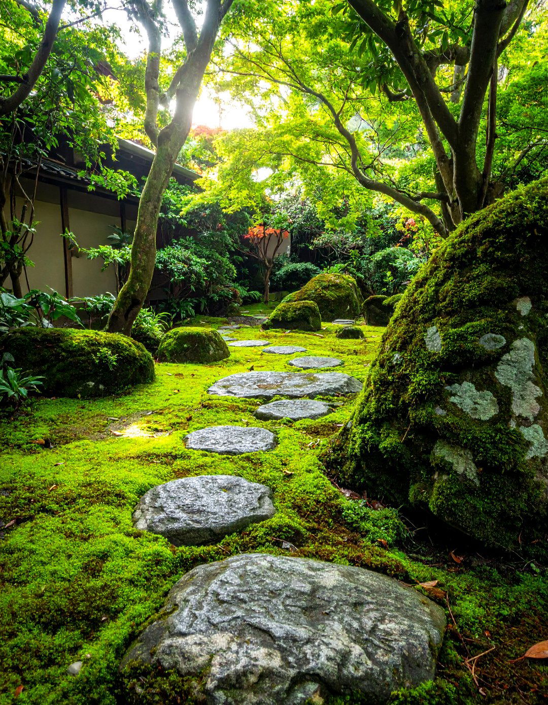 A Moss and Stone Shady Garden - 20 Shady Garden Ideas for Lush, Cool Retreats