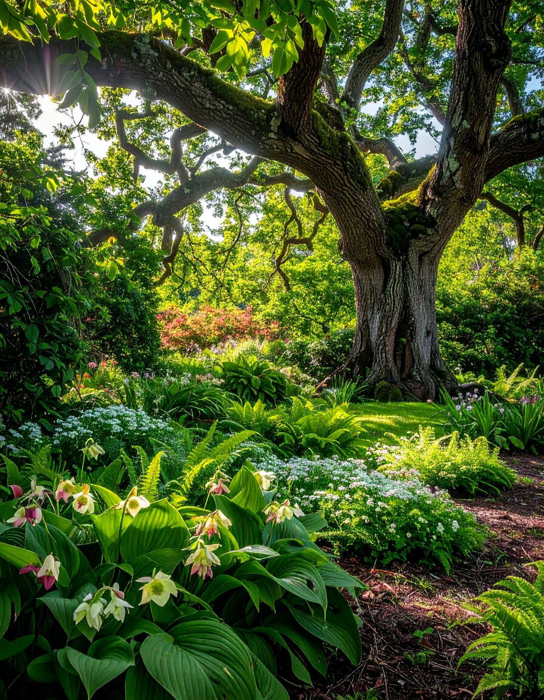 A Naturalistic Shady Garden Under Trees - 20 Shady Garden Ideas for Lush, Cool Retreats