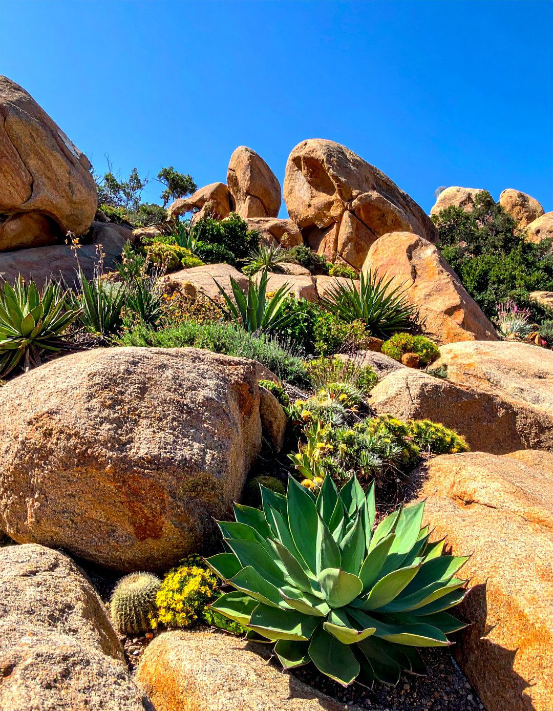 A Rock Garden for Sensory Exploration - 25 Sensory Garden Ideas to Stimulate the Senses