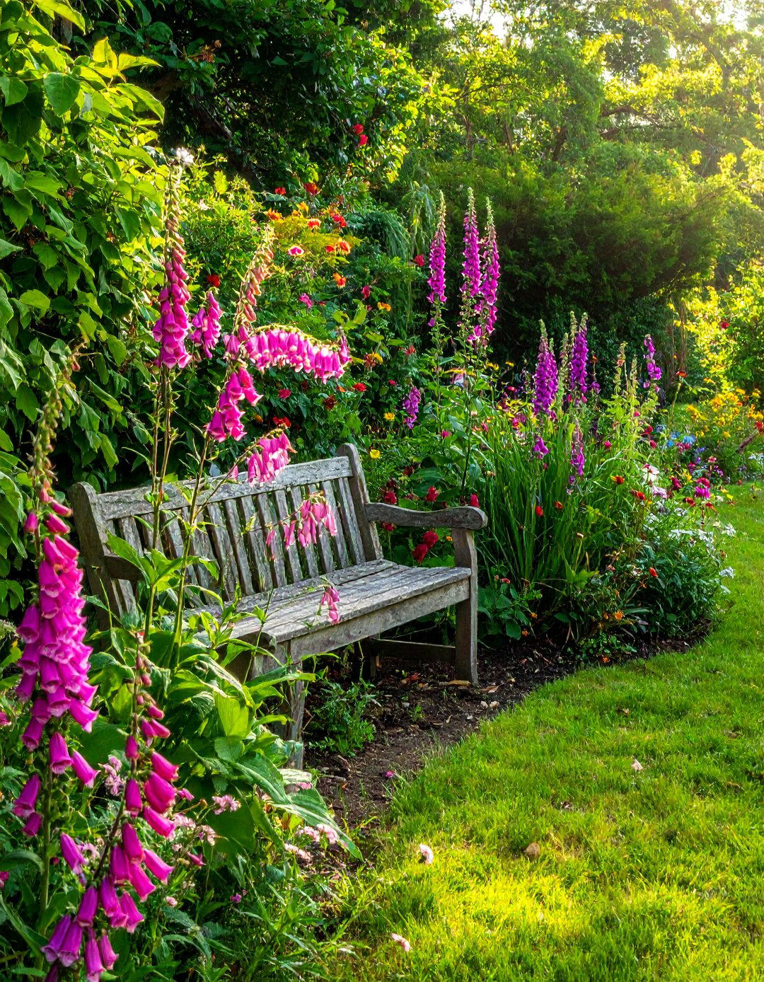 A Shady Cottage Garden Design - 20 Shady Garden Ideas for Lush, Cool Retreats