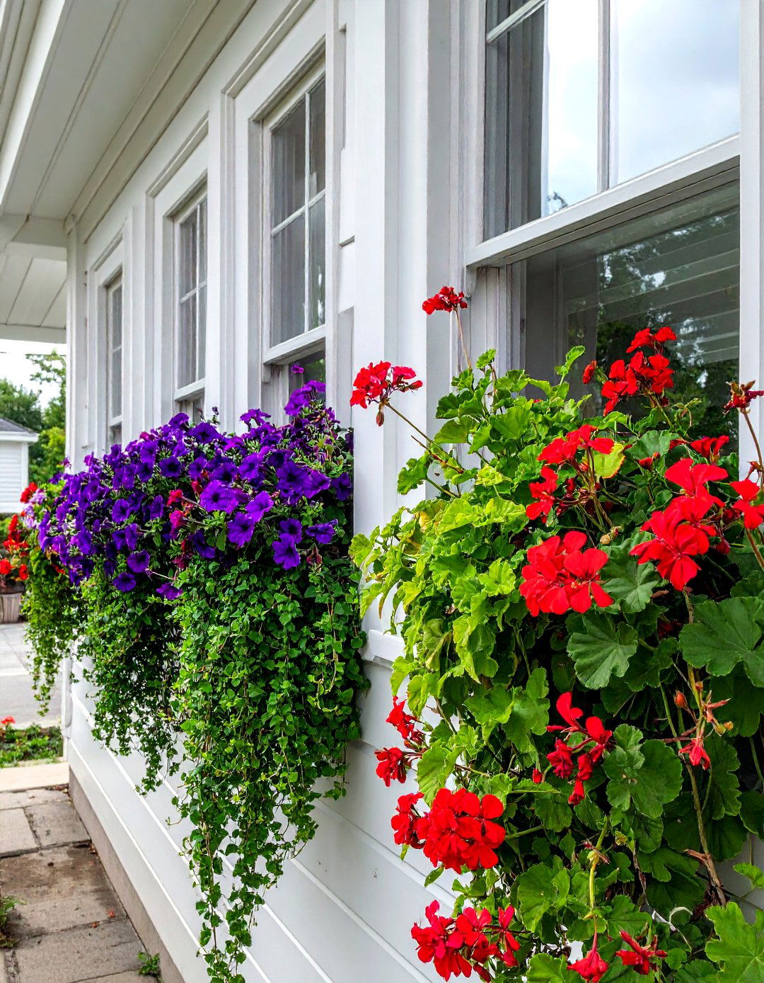 Abundant Window Box Displays - 40 Small Front Yard Landscaping Ideas to Boost Curb Appeal