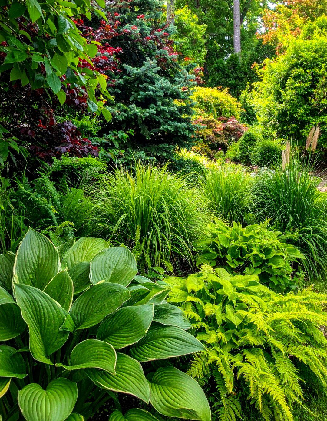 All Green Foliage Garden Colour Scheme - 30 Garden Colour Schemes to Brighten Your Outdoor Space