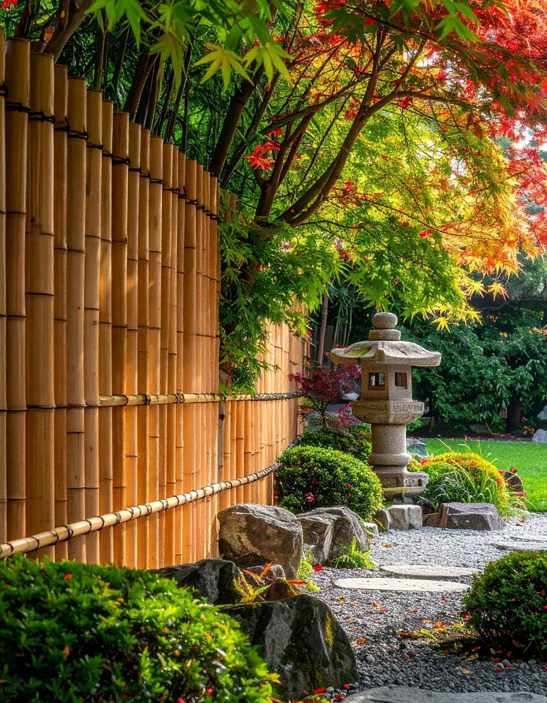 Bamboo Roll Garden Fence - 40 Garden Fence Ideas to Enhance Your Outdoor Space
