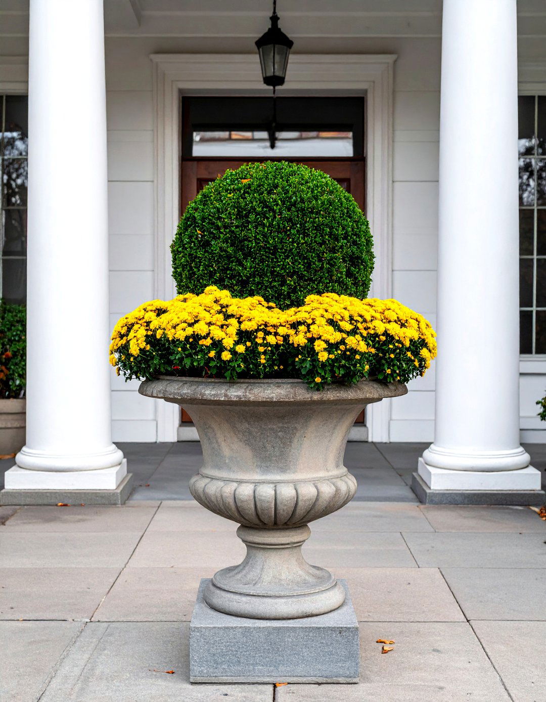 Boxwood and Chrysanthemum Fall Planter - 40 Fall Planter Ideas to Add Seasonal Charm
