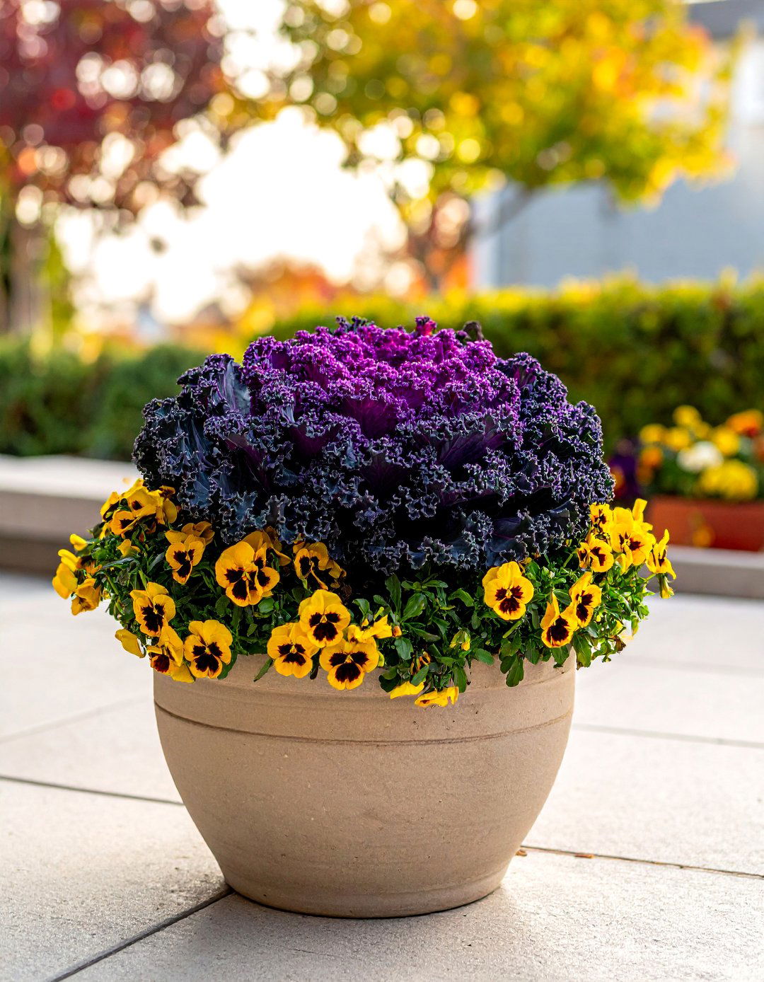 Cabbage Kale and Pansy Fall Planter - 40 Fall Planter Ideas to Add Seasonal Charm
