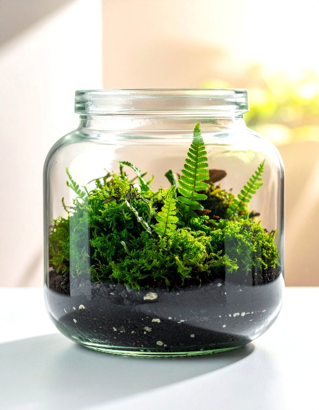 Classic Closed Jar Terrarium - 40 Terrarium Ideas to Bring Nature Indoors