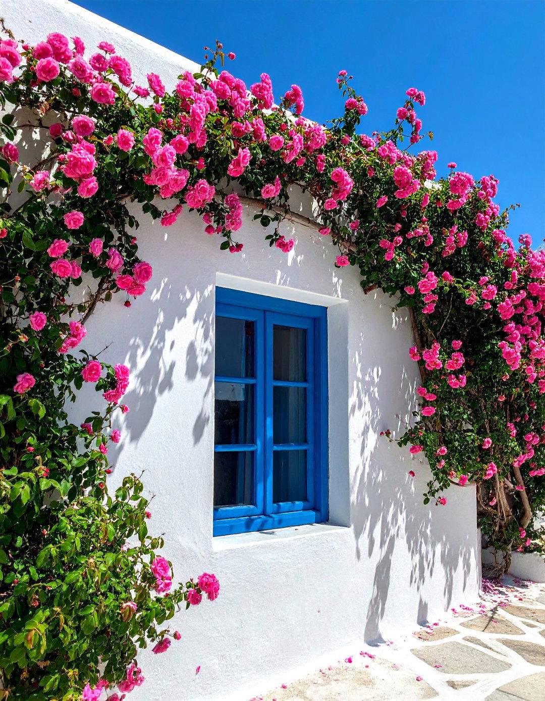Climbing Roses on a Greek Garden Wall - 30 Greek Garden Ideas for a Mediterranean Oasis