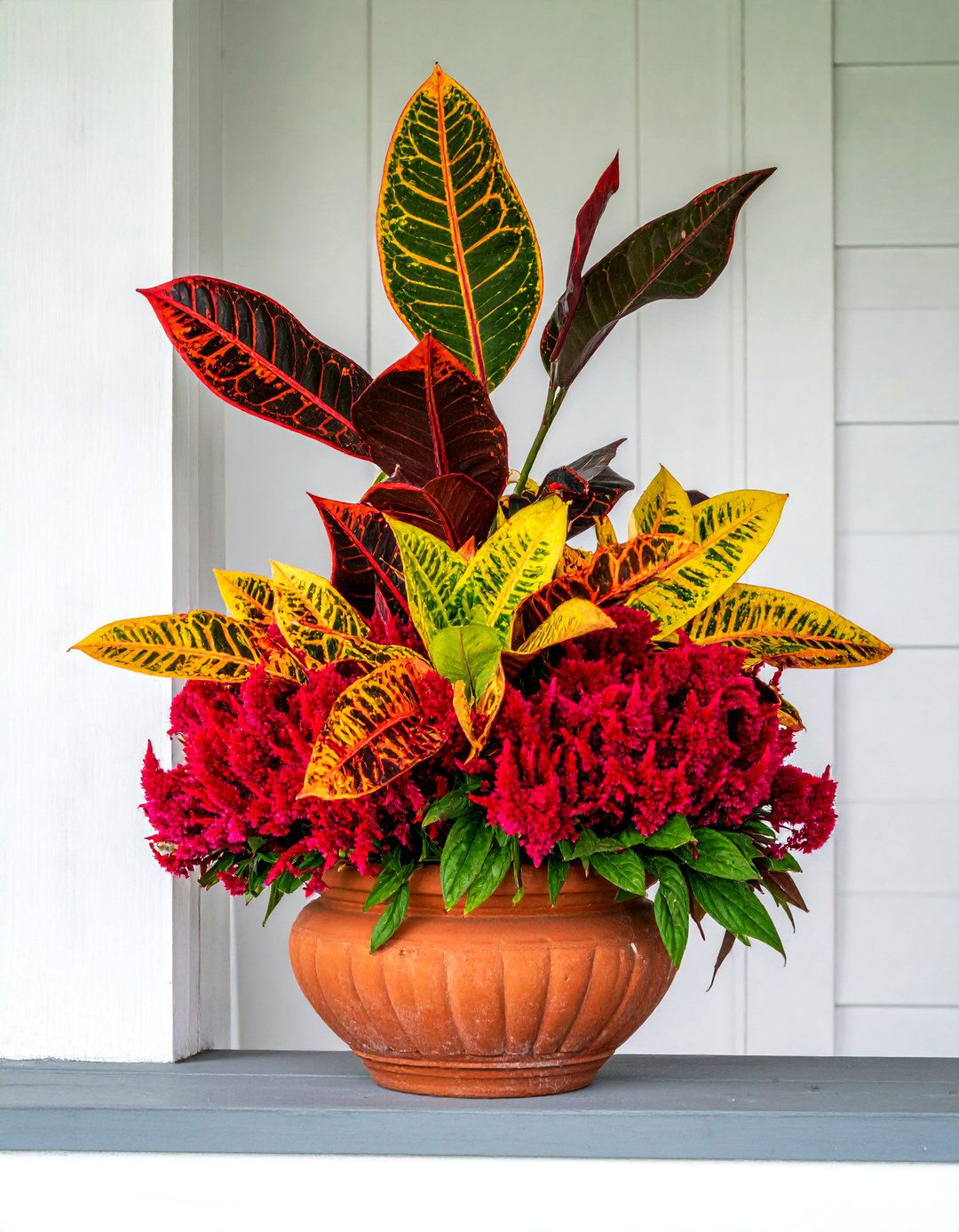 Croton and Celosia Fall Planter - 40 Fall Planter Ideas to Add Seasonal Charm