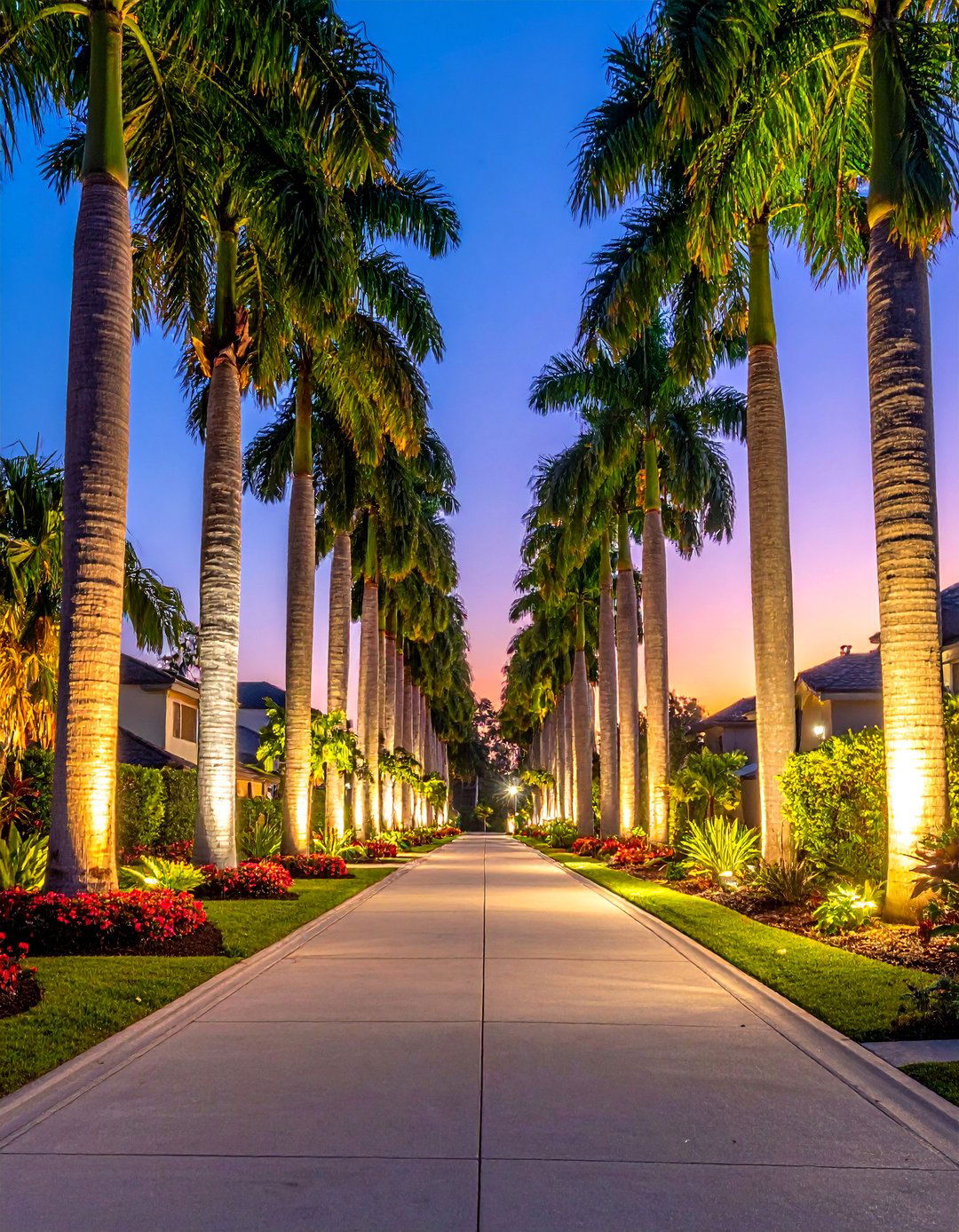 Driveway Border Paradise - 30 Front Yard Palm Tree Landscape Design Ideas