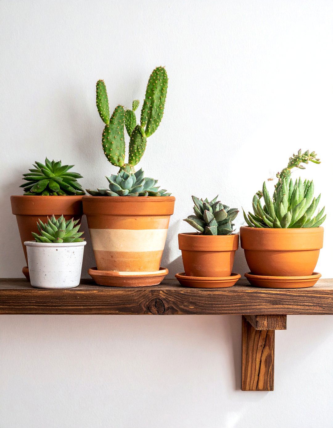 Earthy Terracotta and Clay Accents - 20 Bohemian Desert Decor Ideas for a Warm and Inviting Home