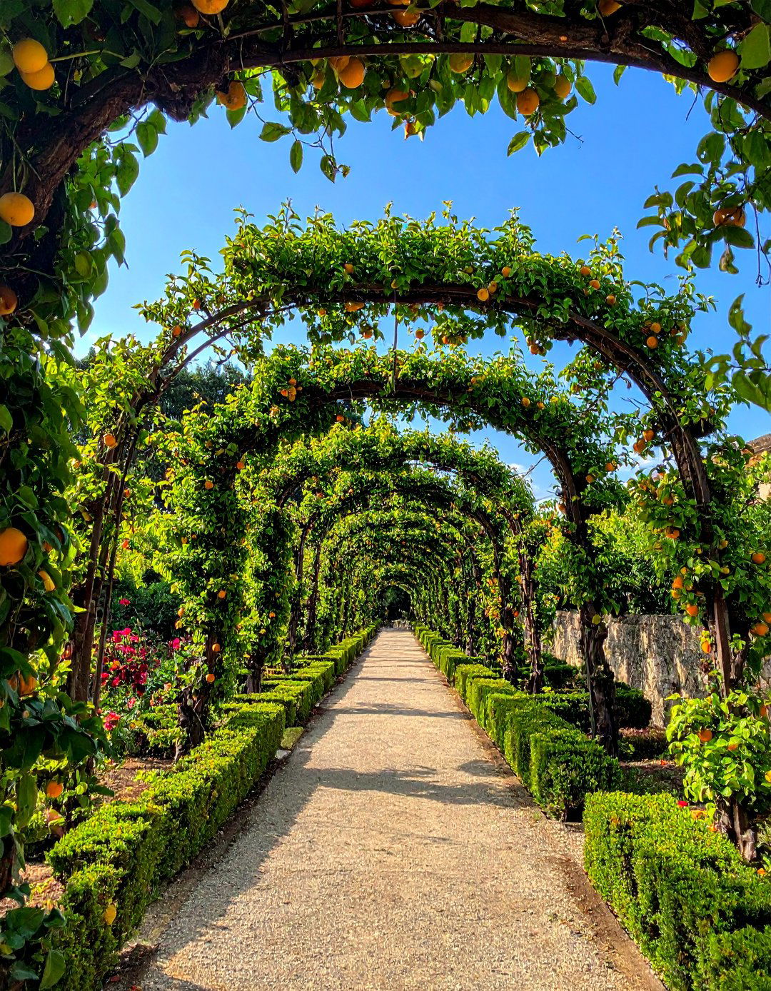 Espalier Fruit Garden - 40 English Garden Design Ideas for a Timeless Landscape