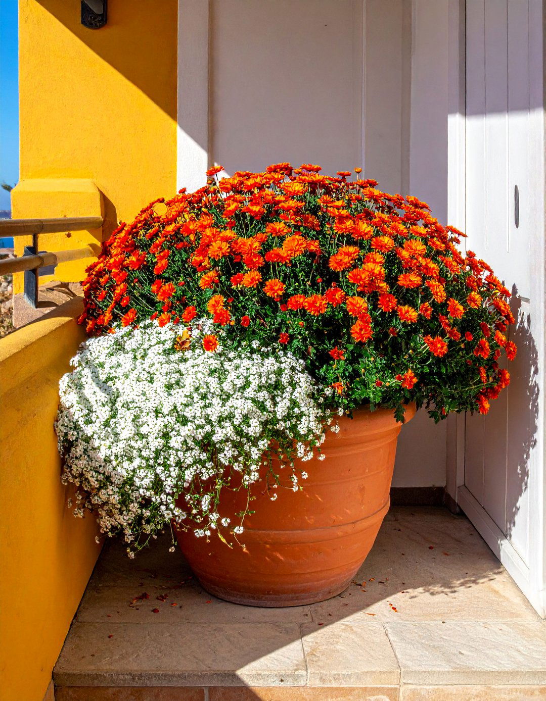 Firebush and Sweet Alyssum Fall Planter - 40 Fall Planter Ideas to Add Seasonal Charm