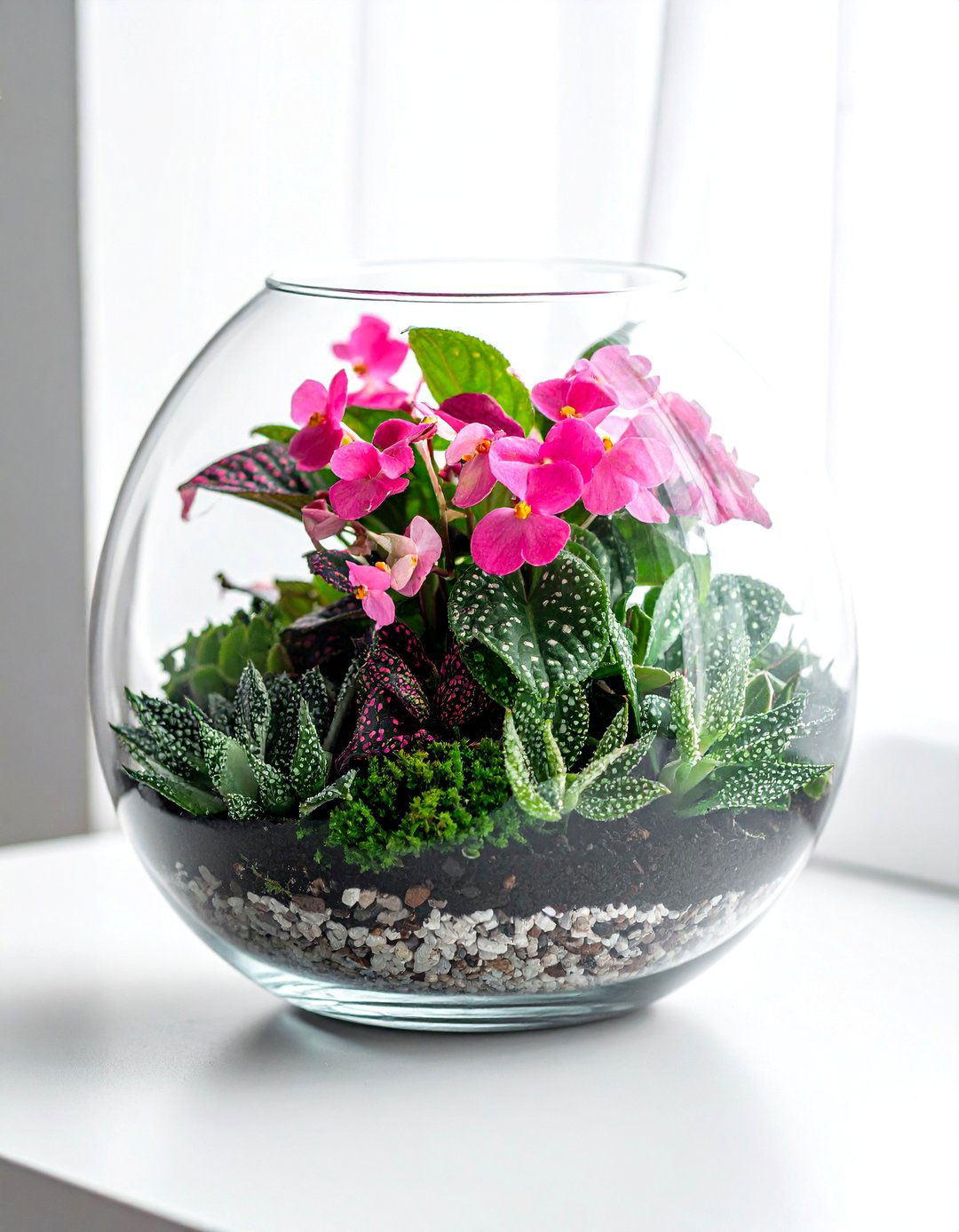 Fittonia and Polka Dot Plant Terrarium - 40 Terrarium Ideas to Bring Nature Indoors