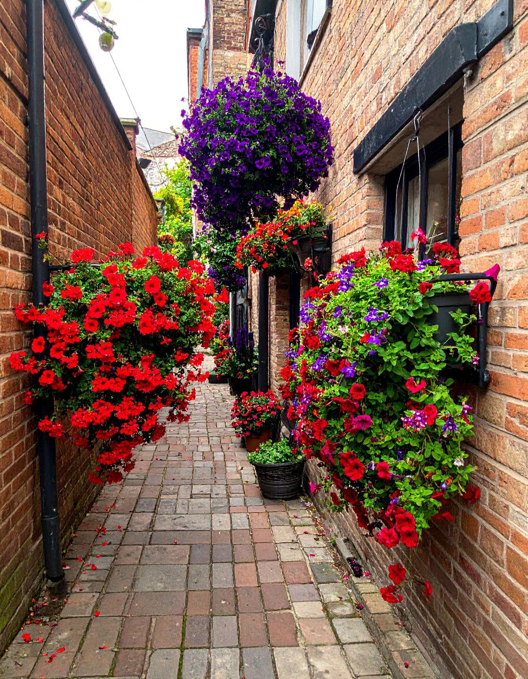 Hanging Baskets and Window Boxes for a Narrow Garden - 20 Narrow Garden Ideas to Maximize Small Spaces
