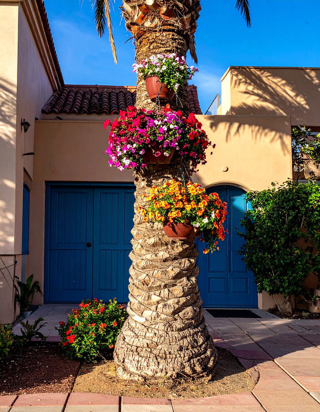 Hanging Baskets from Sturdy Palm Trunks - 35 Front Yard Palm Tree Landscape Design Ideas