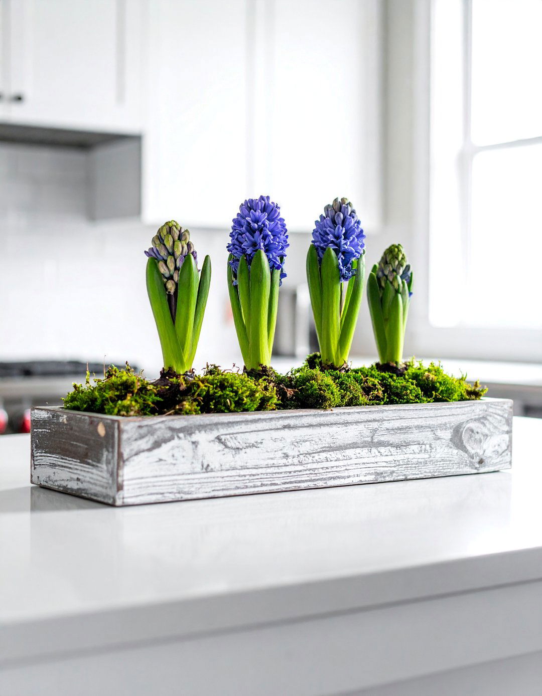 Hyacinth Bulb Spring Centerpiece in a Wooden Box - 25 Spring Centerpiece Ideas for a Fresh Look