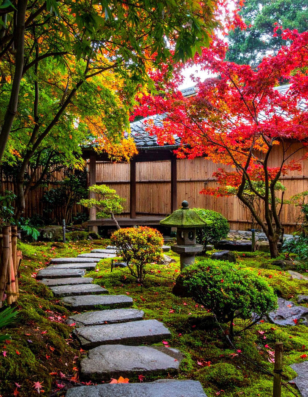 Japanese Tea Garden Hideaway - 35 Secret Garden Ideas for a Hidden Outdoor Retreat