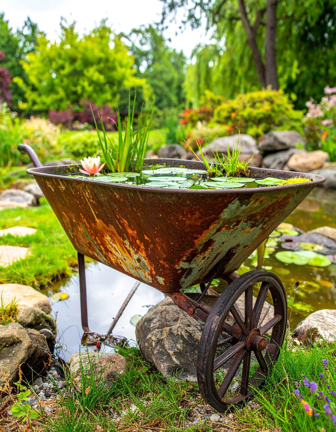 Old Wheelbarrow Garden Pond Feature - 25 Old Wheelbarrow Ideas for Creative Garden Decor