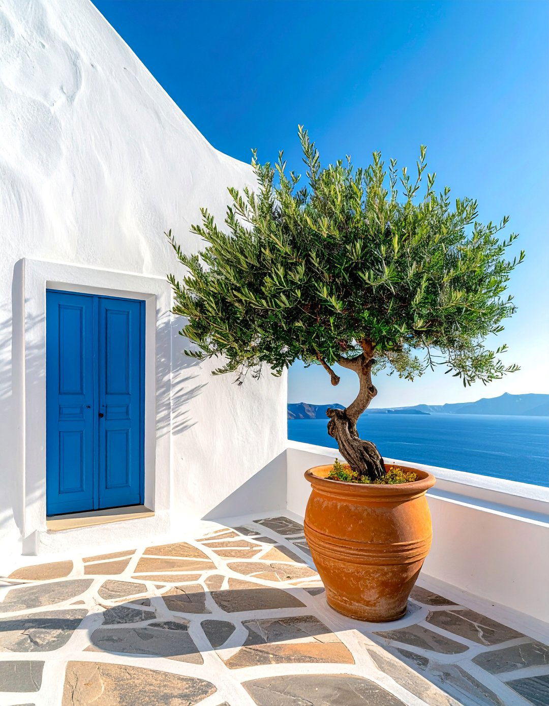 Olive Trees in Pots or Gardens - 20 Greek Style Home Ideas for a Mediterranean Vibe
