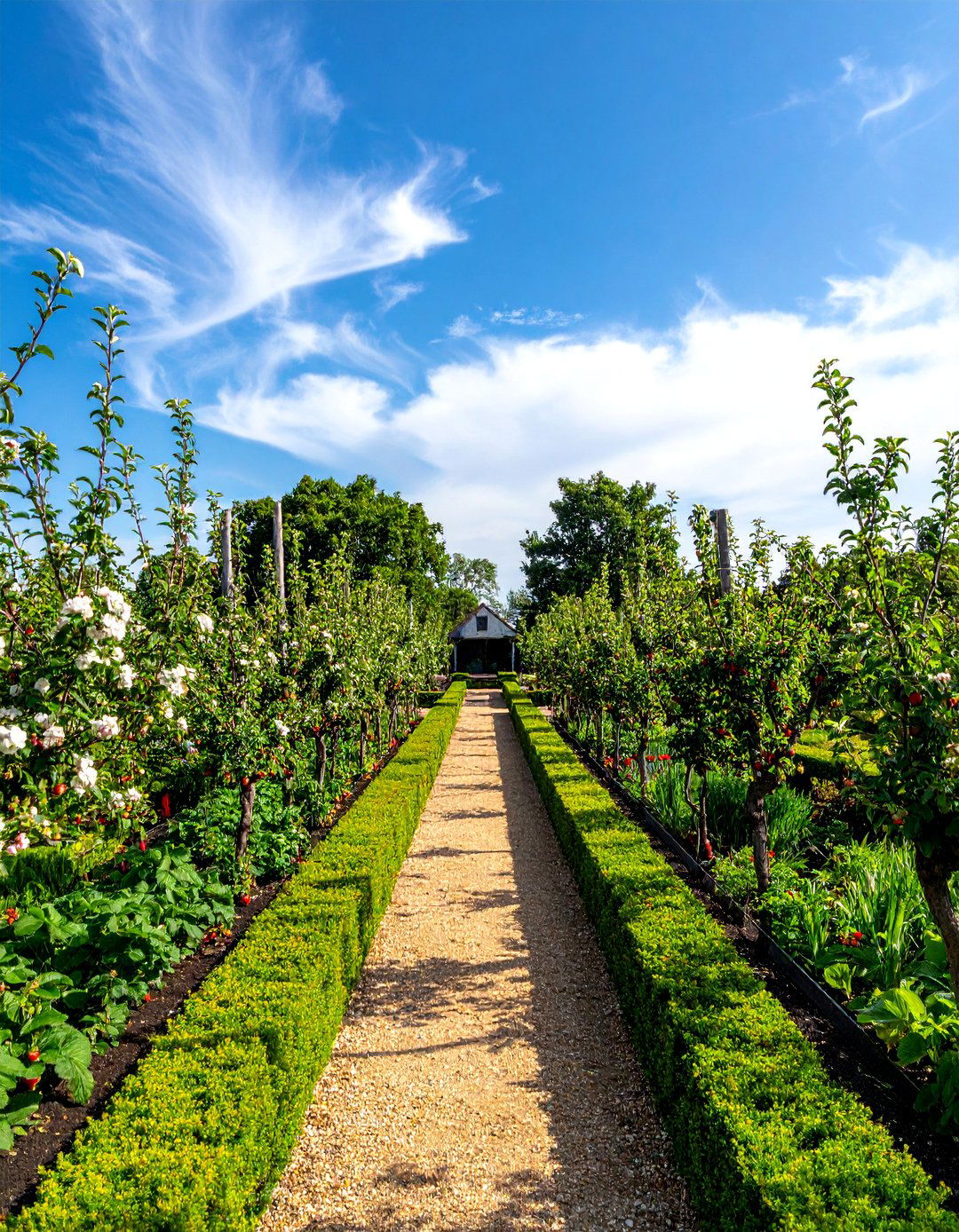 Orchard Parterre Garden - 25 Parterre Garden Ideas for Elegant Landscaping