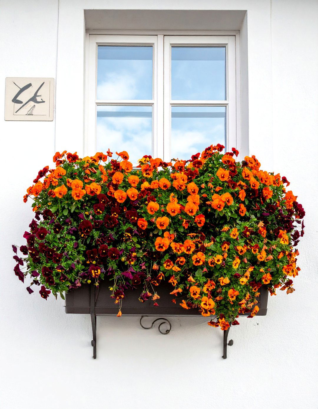 Pansies and Violas Fall Planter - 40 Fall Planter Ideas to Add Seasonal Charm