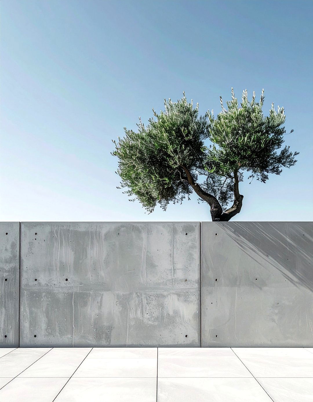 Poured Concrete Garden Fence - 40 Garden Fence Ideas to Enhance Your Outdoor Space
