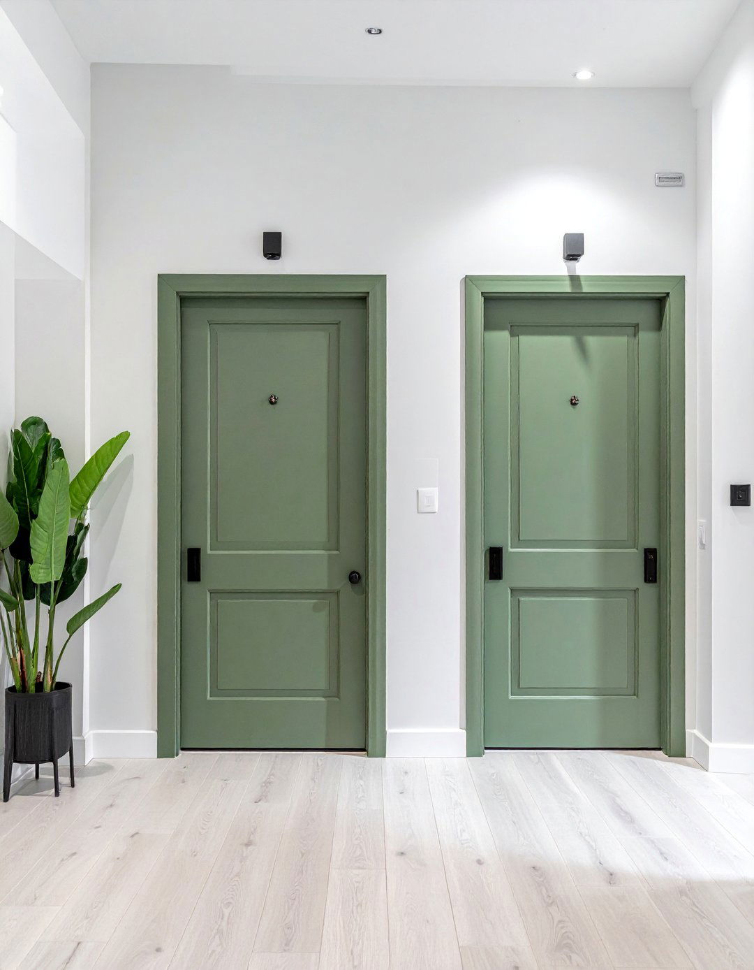 Sage Green Painted Interior Doors - 40 Sage Green Paint Color Ideas for a Serene Home