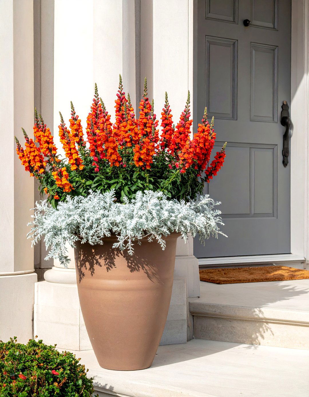Snapdragon and Dusty Miller Fall Planter - 40 Fall Planter Ideas to Add Seasonal Charm