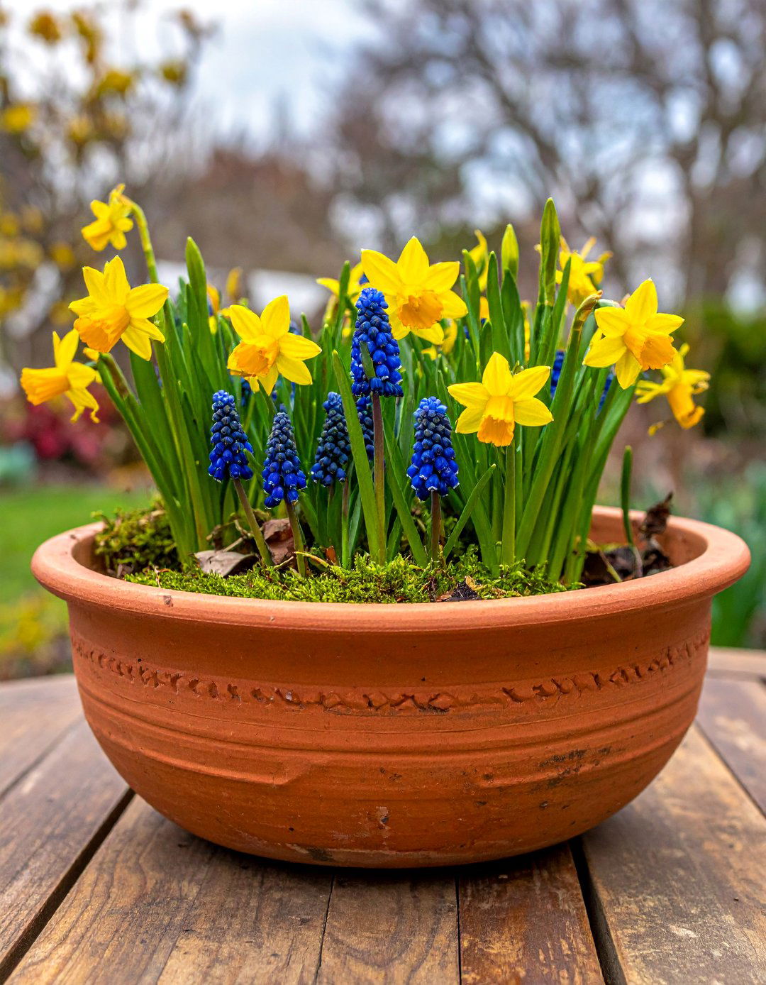 Spring Bulb Garden in a Terracotta Bowl - 25 Spring Centerpiece Ideas for a Fresh Look