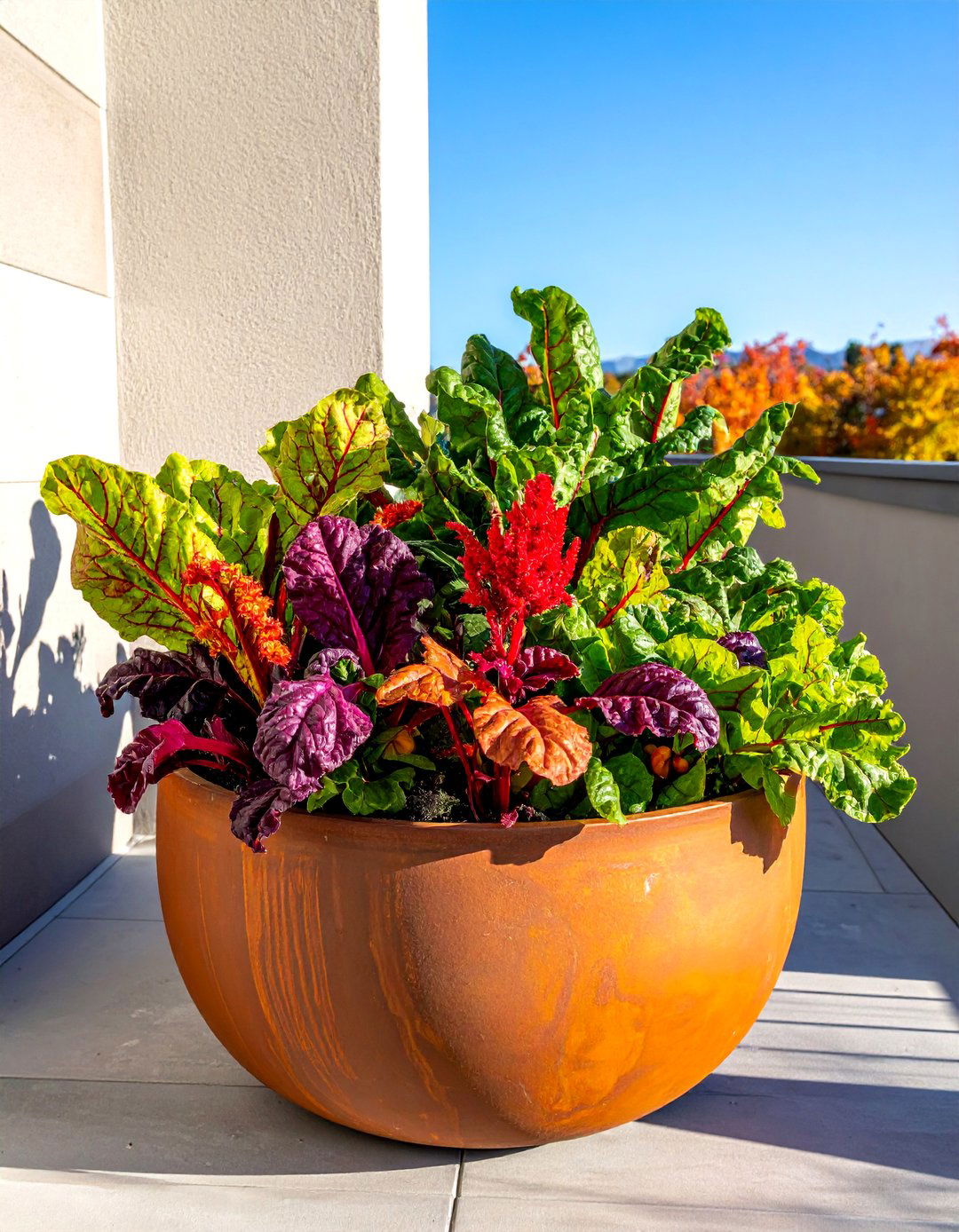 Swiss Chard and Ornamental Pepper Fall Planter - 40 Fall Planter Ideas to Add Seasonal Charm