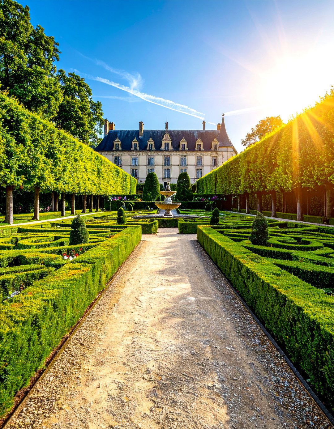 Symmetrical French Parterre Garden - 25 Parterre Garden Ideas for Elegant Landscaping