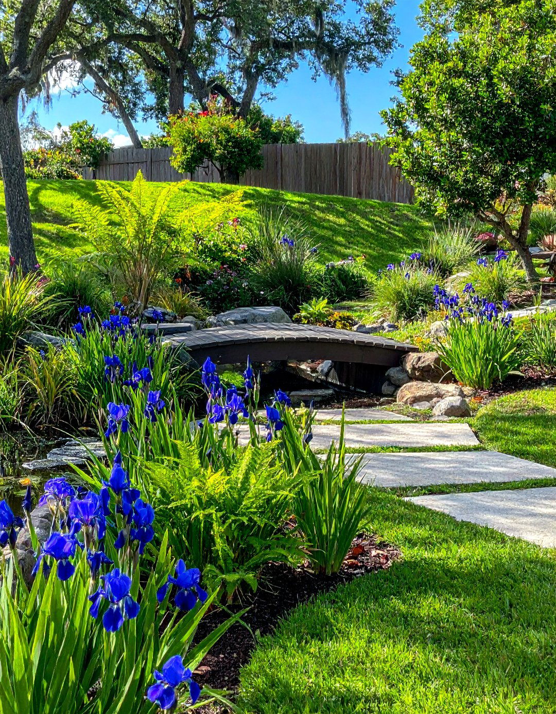 Tropical Rain Garden Water Feature - 30 Florida Backyard Ideas for a Tropical Oasis