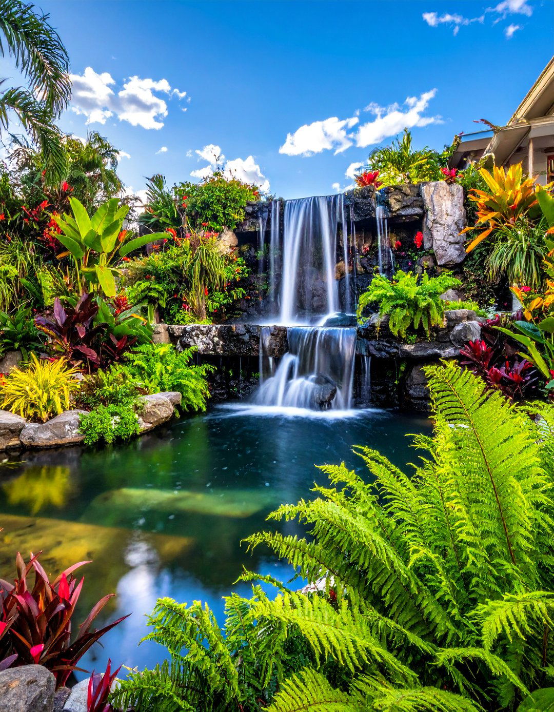 Tropical Waterfall Garden Feature - 30 Florida Backyard Ideas for a Tropical Oasis