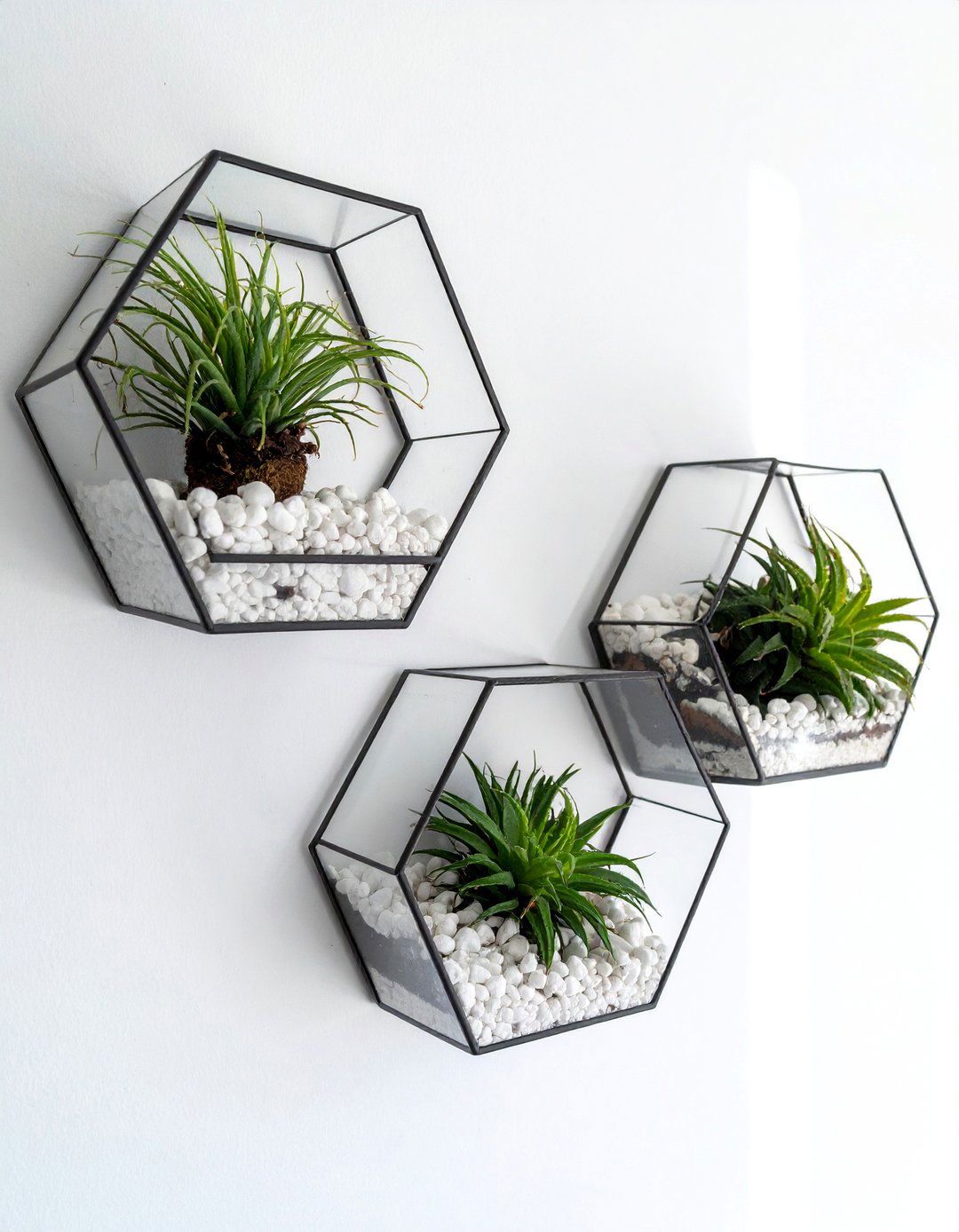 Wall Mounted Terrarium - 40 Terrarium Ideas to Bring Nature Indoors