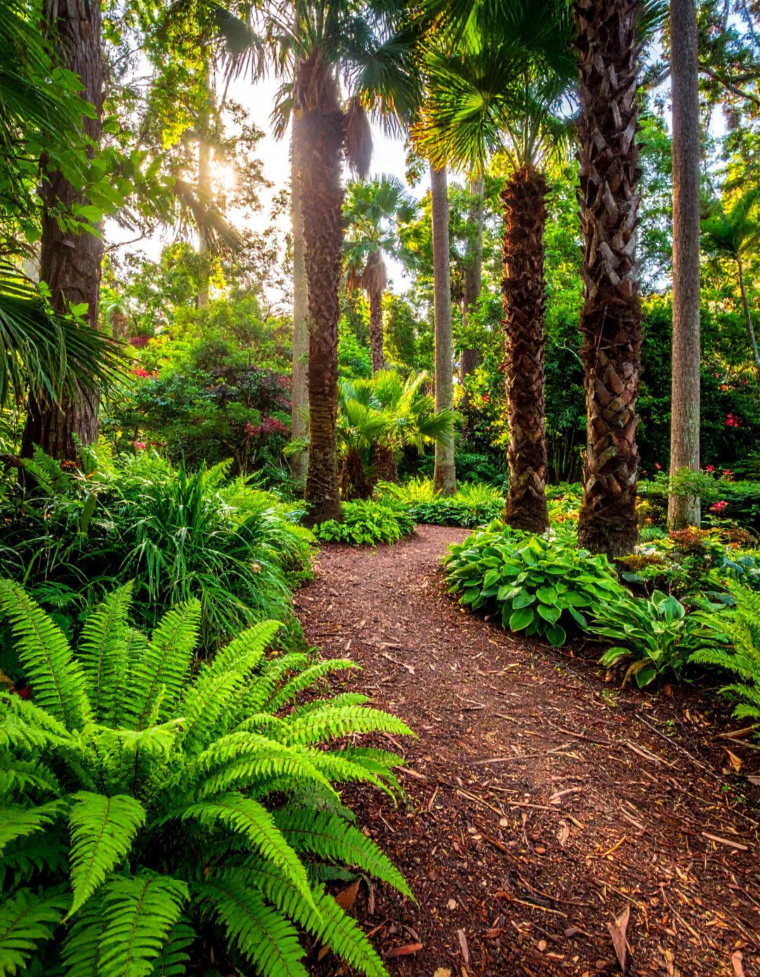 Woodland Palm Integration - 30 Front Yard Palm Tree Landscape Design Ideas