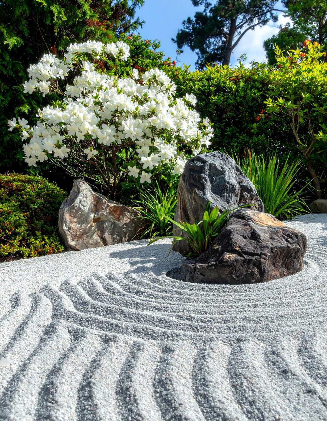 A Zen Garden with Restrained Floral Accents - 20 Small Zen Garden Ideas for a Peaceful Outdoor Retreat
