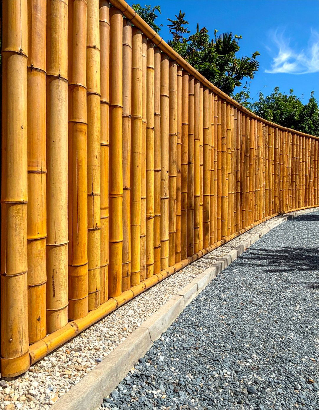 Bamboo Screening Borders - 25 Gravel Driveway Edging Ideas for a Polished Finish