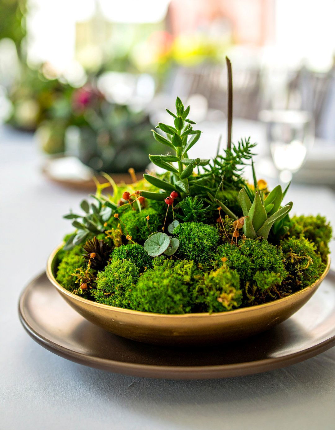 Miniature Garden Scenes - 30 Rehearsal Dinner Centerpiece Ideas for a Memorable Event