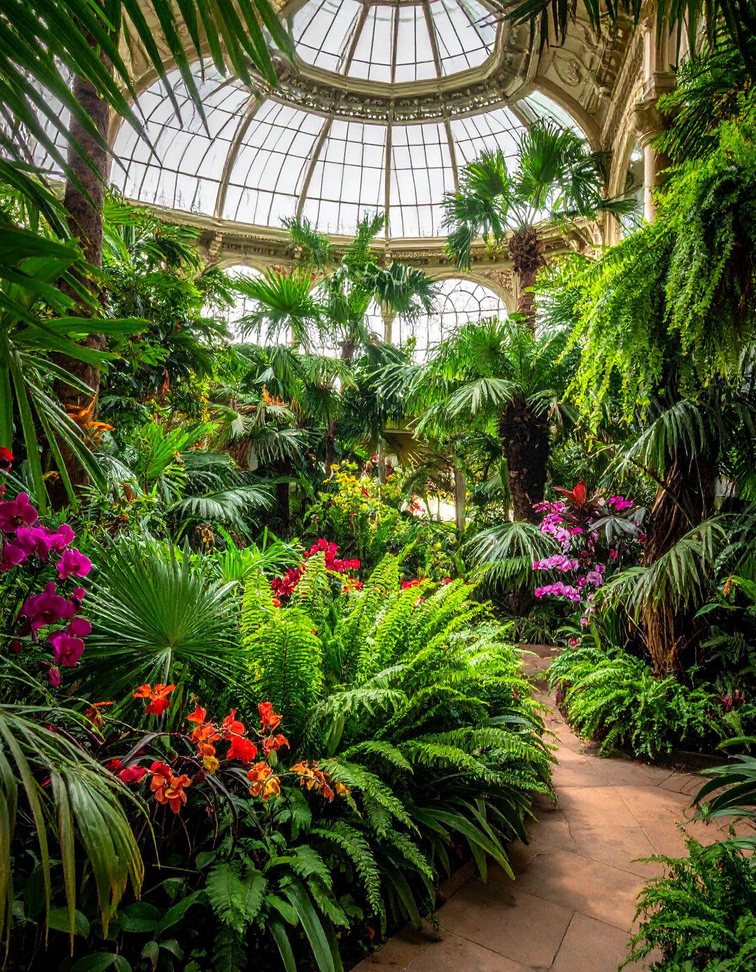Victorian Sunroom as a Lush Botanical Conservatory - 25 Victorian Sunroom Ideas for a Classic Retreat