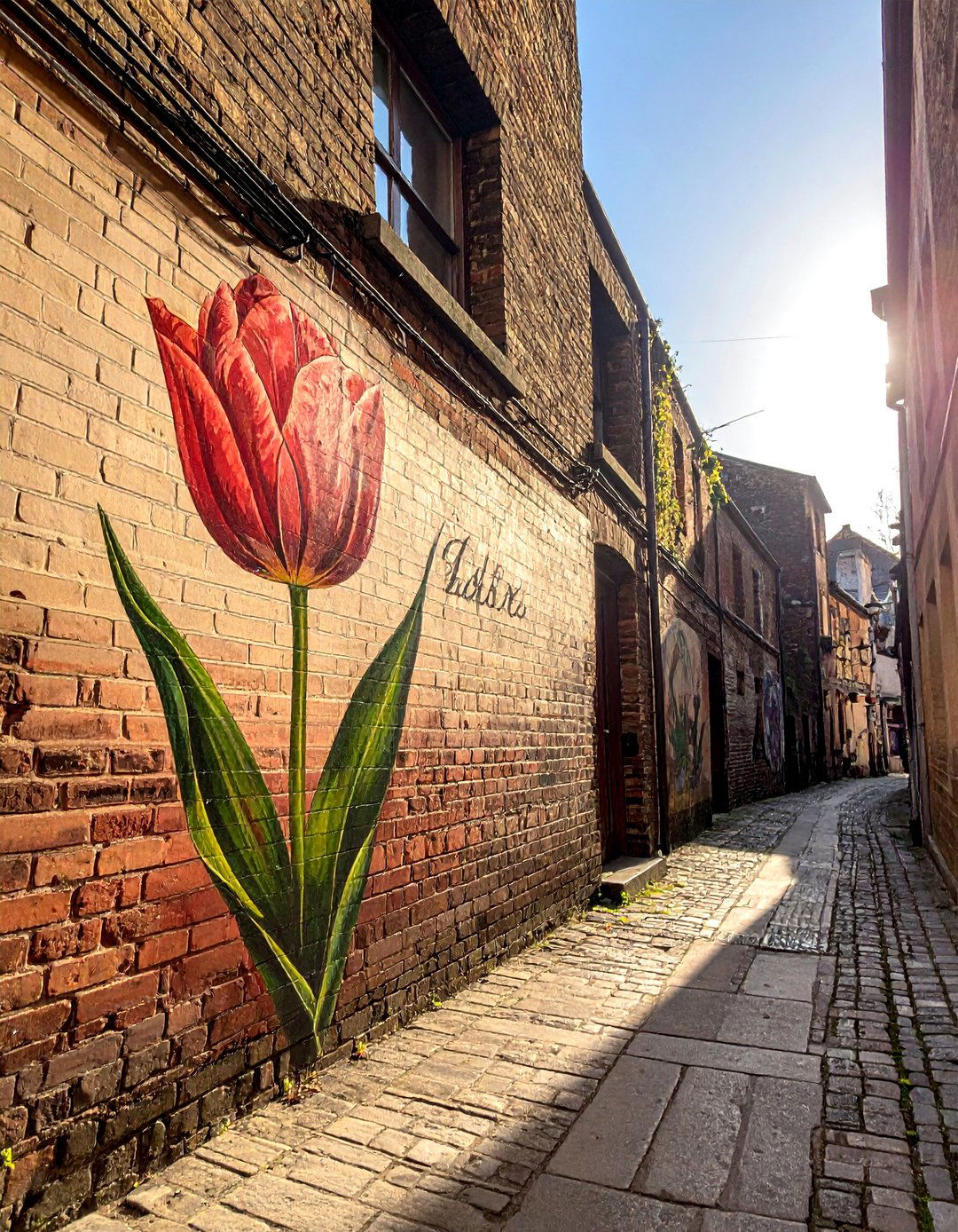 Vintage Botanical Illustration Flower Mural on a Building - 15 Flower Murals on Buildings Ideas for Urban Beauty