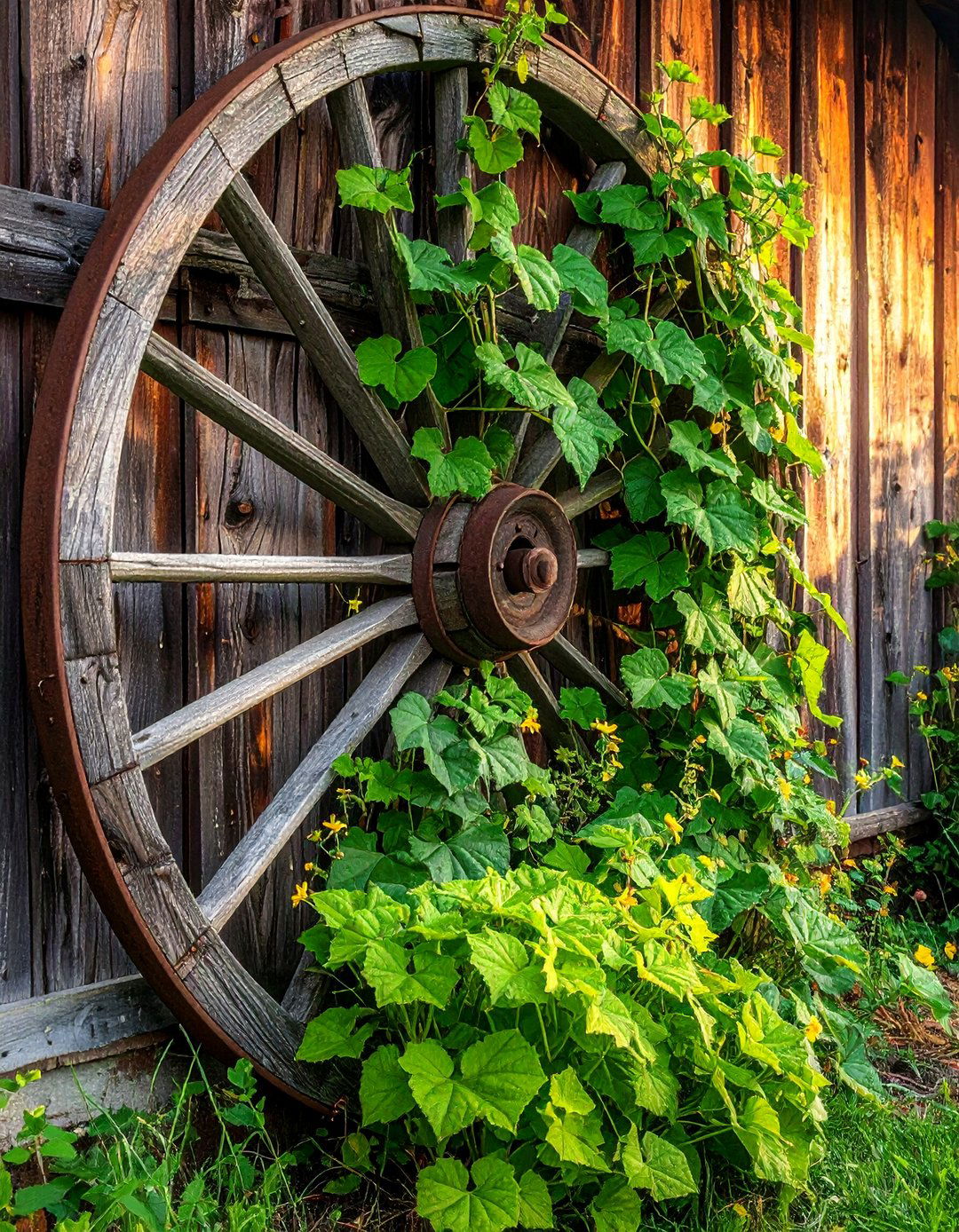 Wagon Wheel Trellis Vertical Garden - 40 Vertical Garden Ideas for Small Spaces