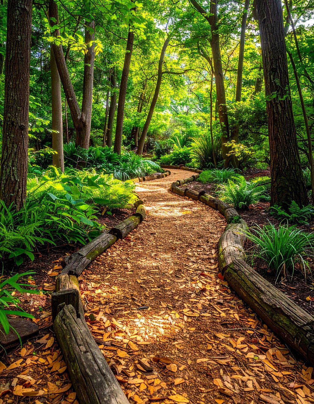 Wood Chip Forest Floor Path - 20 Woodland Garden Path Ideas for a Natural and Serene Look