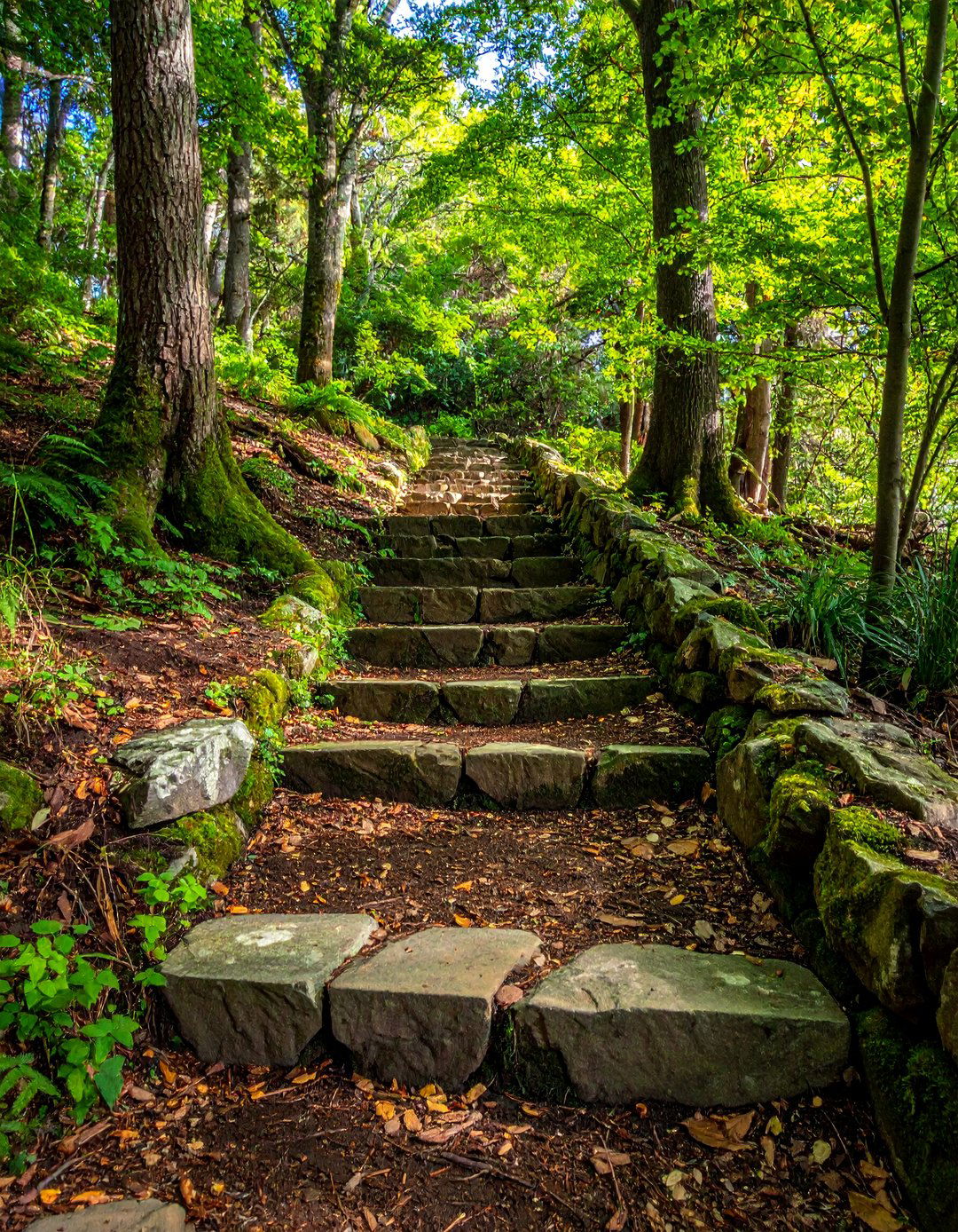 Woodland Terraced Steps Design - 20 Woodland Garden Path Ideas for a Natural and Serene Look