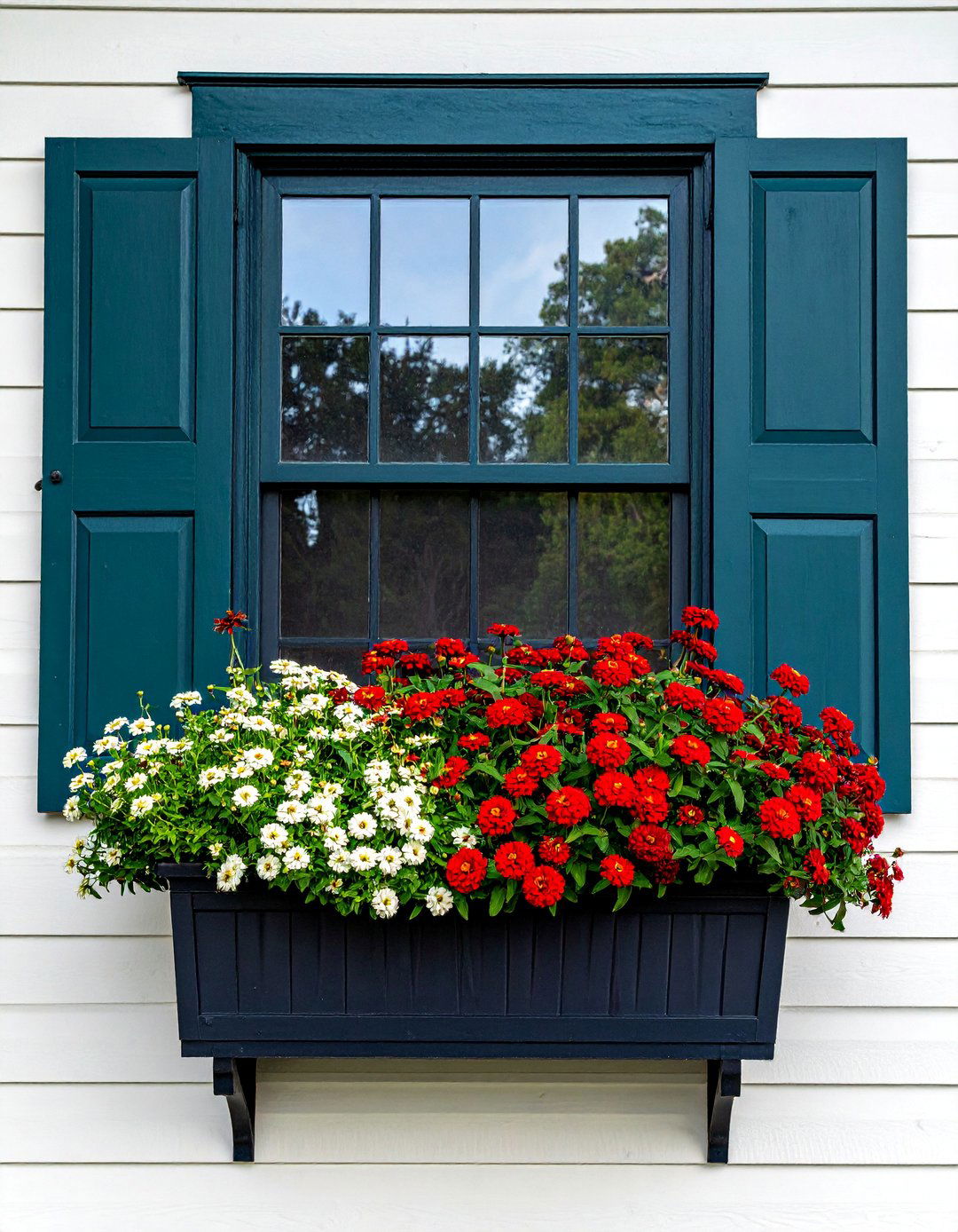 Zinnia Window Box Display - 25 Zinnia Garden Ideas for a Colorful Outdoor Space