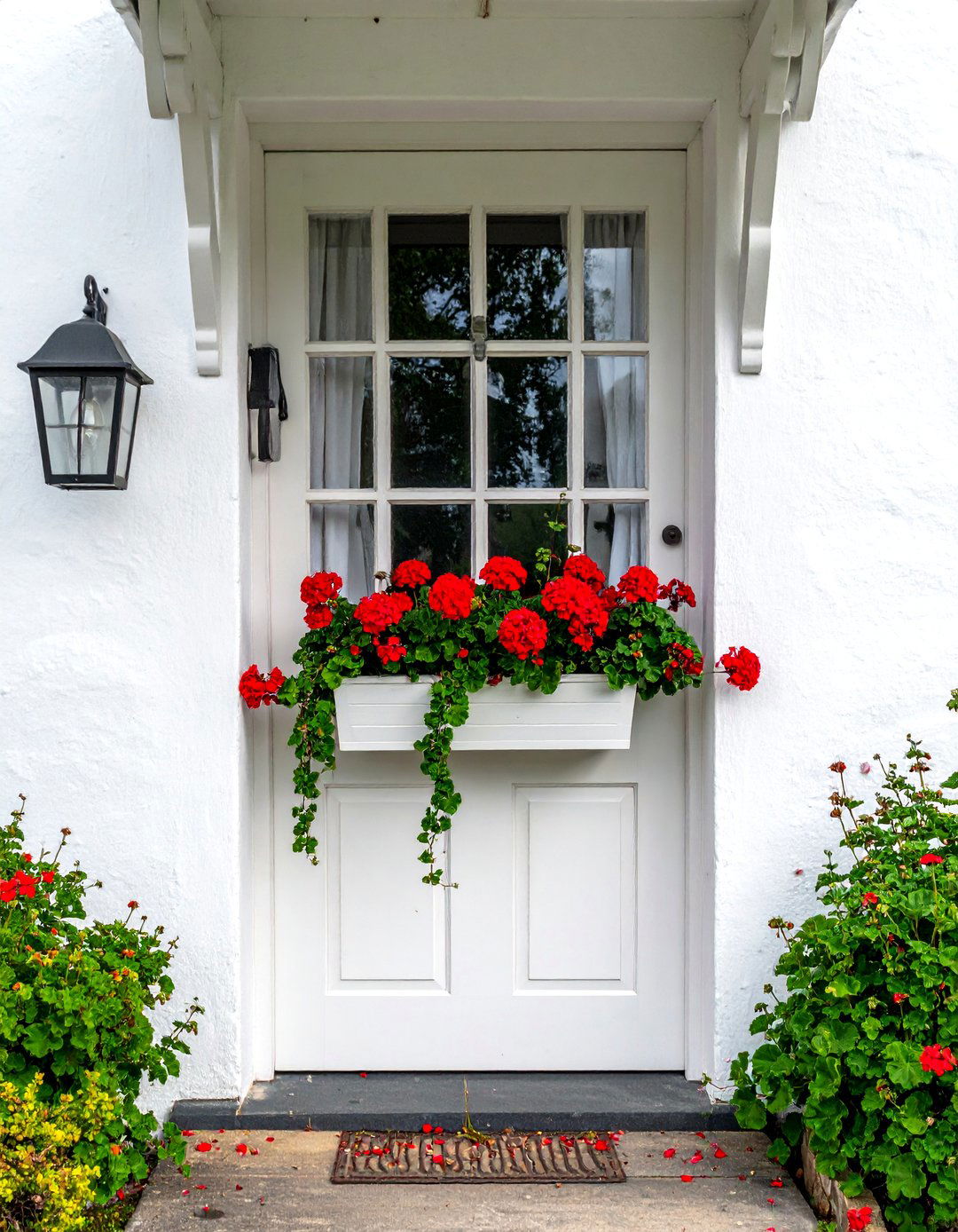 Cottage Front Door with a Window Box Below - 25 Cottage Front Door Ideas for a Charming Entryway