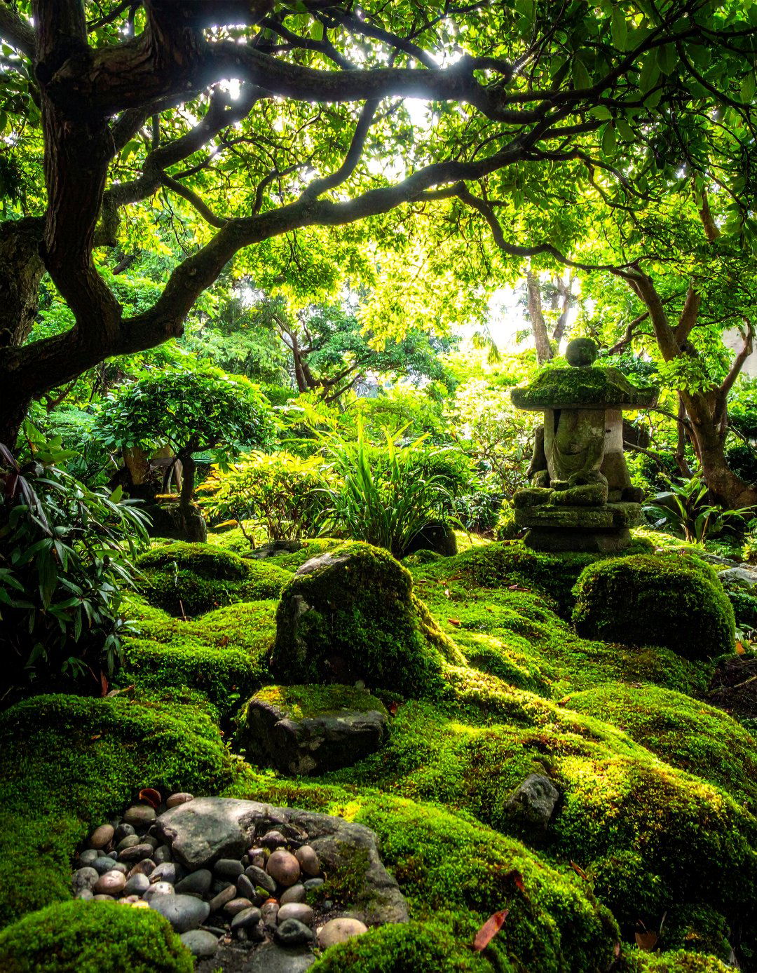 Star Wars Dagobah System Moss Garden - 20 Disney Garden Ideas for a Magical Outdoor Space