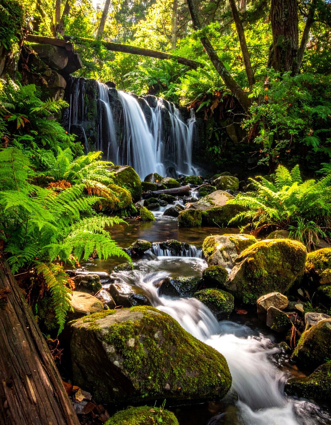 Woodland Stream Designs - 25 Waterfall Design Ideas for a Serene Outdoor Space
